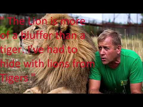 Lion vs Tiger - Expert Opinion Lion Man Oleg Zubkov favors the tiger over the lion in a fight.