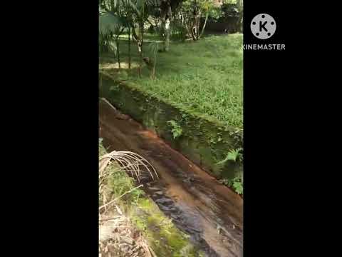 Sítio / Rancho à venda e para alugar em Pindamonhangaba por R$1.200.000 imagem 1