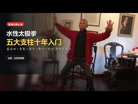 The Five Core Systems of Water Tai Chi: Basics, Forms, Push Hands, Combat & Neigong