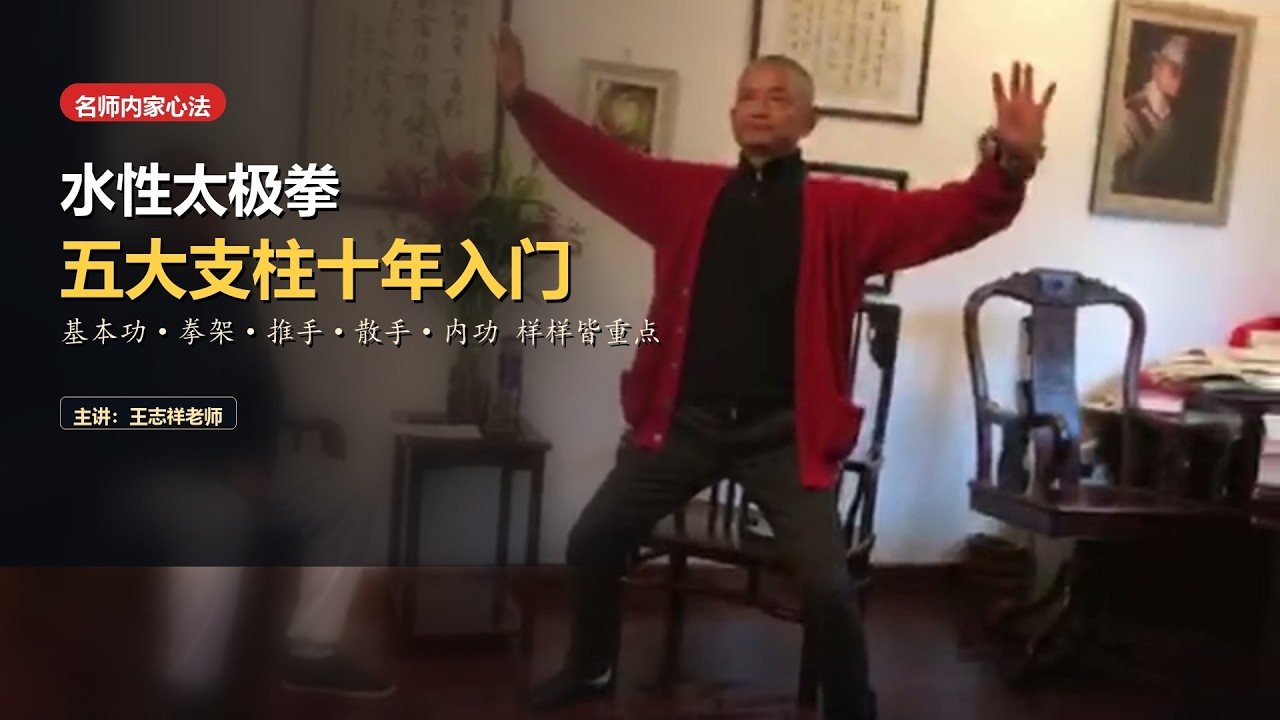 The Five Core Systems of Water Tai Chi: Basics, Forms, Push Hands, Combat & Neigong