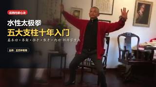 The Five Core Systems of Water Tai Chi: Basics, Forms, Push Hands, Combat & Neigong