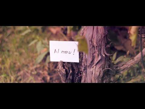 N-Tone & Gentiana - Al meu (Official Video Lyric)