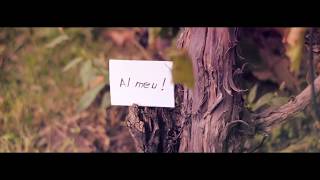 N-Tone & Gentiana - Al meu (Official Video Lyric)