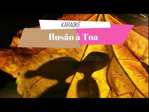 Ilusão À Toa - Rosana Toledo