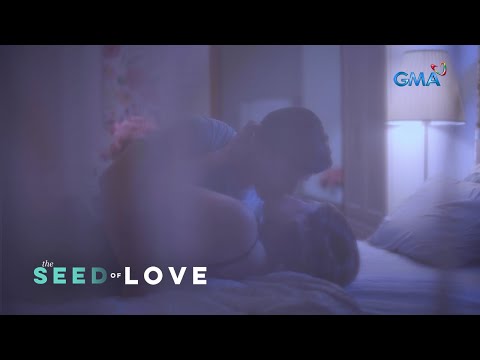 The Seed of Love: The ex-lovers' second chance at love (Episode 48)
