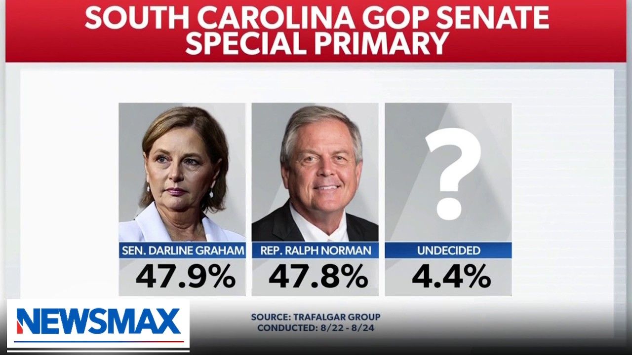 Gidley: Candidates have to kiss babies, go to BBQ joints in South Carolina | National Report