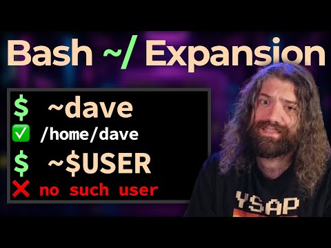 Tilde expansion in bash is surprisingly complex and powerful. You Suck at Programming #071