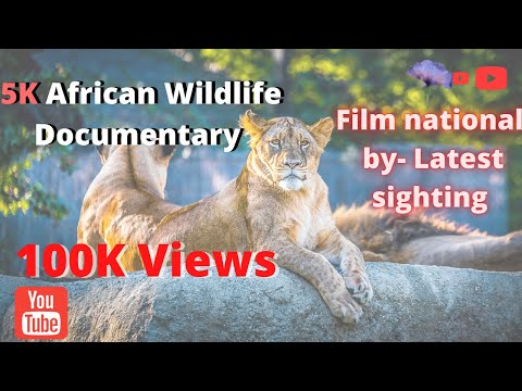 5K African Wildlife Documentary Film national by Latest sighting