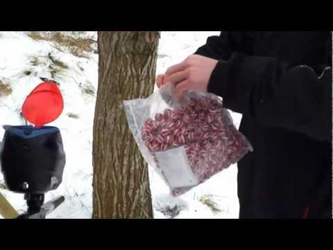 Maz Paintball: Test av Meteor Winterballs, 2 veckor i kylan