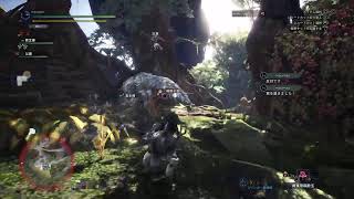 ［MHWI］フリークエスト消化します #9