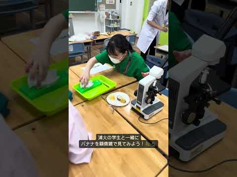 こども学科 浦大の学生と研究しましょう！浦和大学のオープンキャンパスで、スタンプラリーを実施します！🎉#shorts #オープンキャンパス #社会学部 #こども学部 #模擬授業 #学部説明