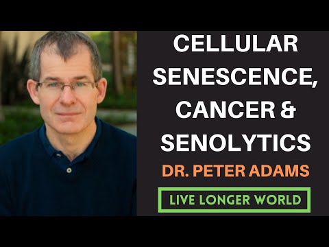 #16 - Dr. Peter Adams | Cancer, Cellular Senescence & Senolytics