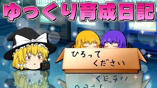 【ゆっくり茶番】魔理沙がゆっくりを拾ってみた