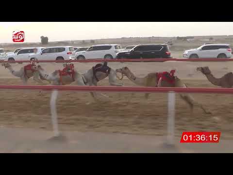  ش 2 (حايلتك) لـ سعيد محمد بن فارع الظاهري 2:10 , شارة الصندوق 2026/03/21 فطامين الجبيب