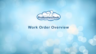ProBusinessTools video