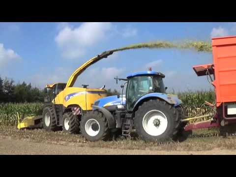 Loonw. Van Bruwaene E - Poesele