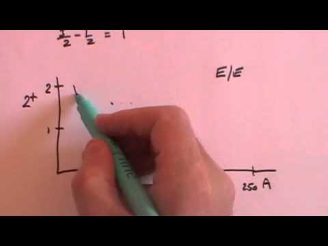 The Collective Model