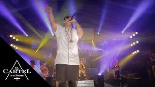 Daddy Yankee - Watch Out For This [Live]