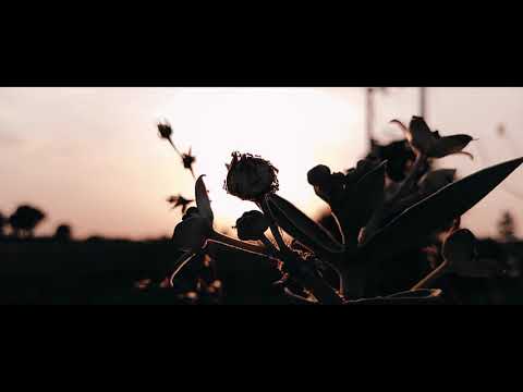 NATURE | Cinematic Video | MiA3 | 1080p | 60FPS