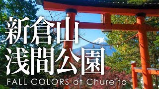 絶景空撮 新倉山浅間公園の紅葉 - Aerial view of fall colors at Chureito pagoda