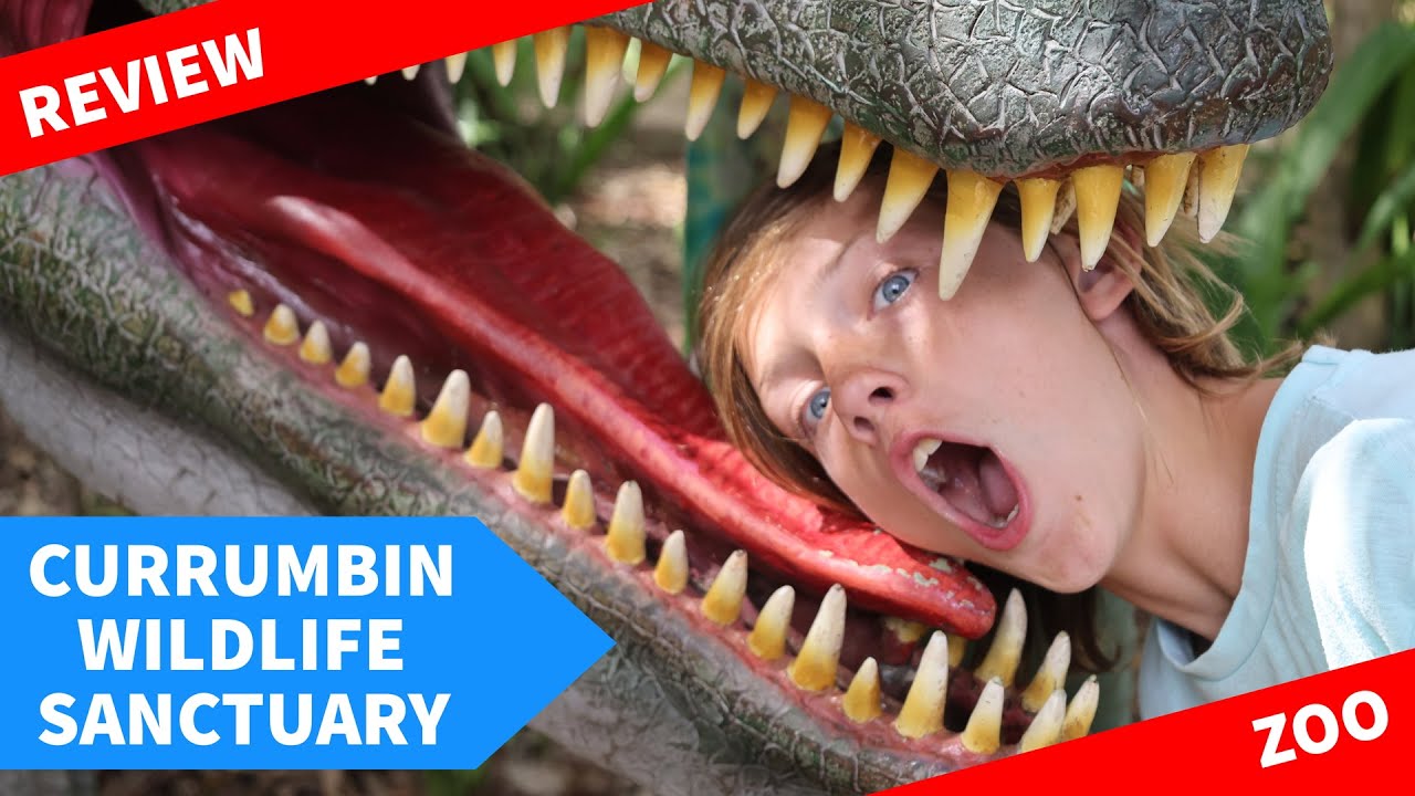 Join travelers on a journey to Currumbin Wildlife Sanctuary.