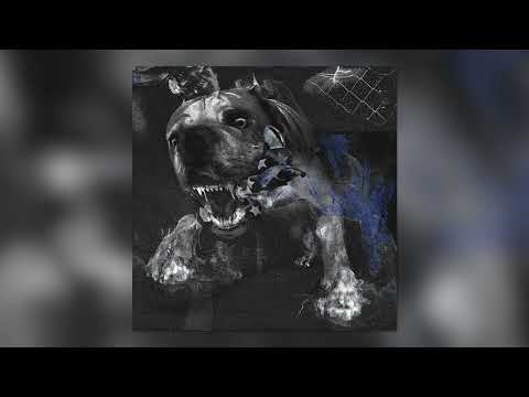 Praci - Till I Die (Official Audio)