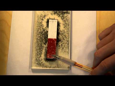 download lagu mp3 mp4 Magneter, download lagu Magneter gratis, unduh video klip Magneter