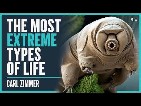 What Are The Weirdest Types Of Life? - Carl Zimmer | Modern Wisdom Podcast 394