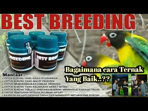 Makanan apa yang baik untuk potensi laki-laki Apakah encoding mempengaruhi potensi
