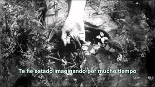 Riverside - Conceiving You (subtitulada español)