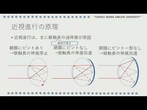リハビリテーション学科　視覚機能学専攻紹介とトピックス