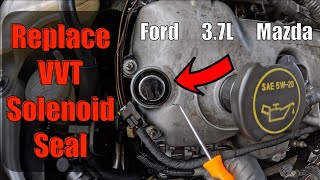 Major Oil Leak FIXED! VVT Solenoid Seal Replacement (Works on Many Vehicles, 3.7L Ford)