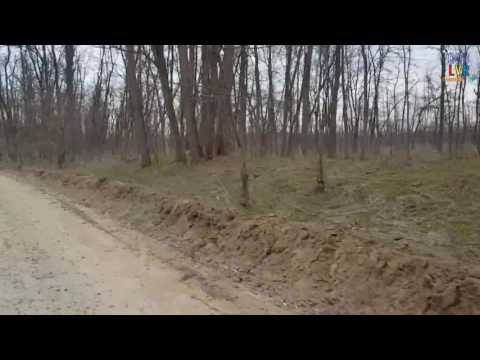 Dunele de nisip din Oltenia iau locul padurii 25 02 2017