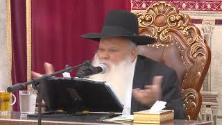 הכל זה בורא עולם | הרב דניאל זר