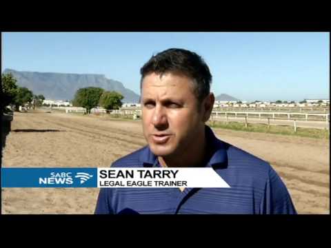 The Sun Met takes place at Kenilworth Race Course on Saturday