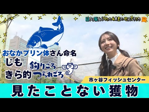 【じもきら第52話】釣るぞ大物でてきんさい！ | だんだん手ごたえをつかんできたよ～ 竹内希来里の地元できらる | 櫻坂46まとめちゃんねる