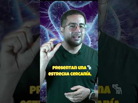 Jorge Alberto Juárez Varela-124