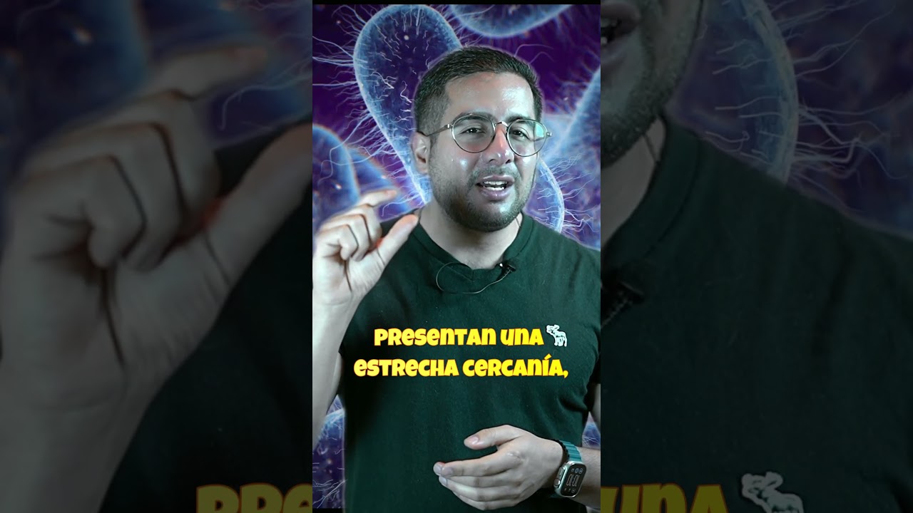 Jorge Alberto Juárez Varela-120