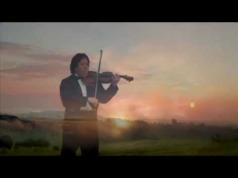 Swan Goose--鸿雁。violinist Sky, Music from heaven--醉人的小提琴手 石野雪峰