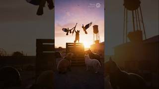 動物たちが自由の為に戦う！