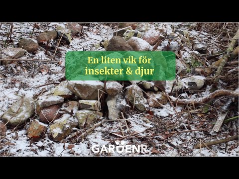 En liten vik för insekter och djur - Trädgårdshacks med GardenR