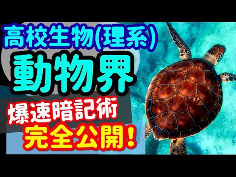 環形動物について詳しく解説