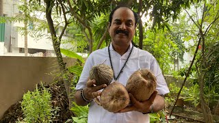 நம் துன்பம் தூள் தூளாக மட்டை தேங்காய் சமர்ப்பிக்கலாம்