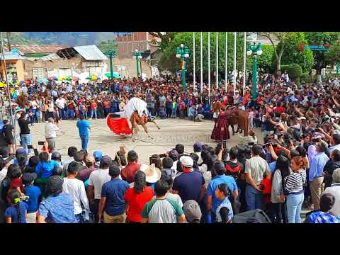 ¡Espectacular! El impresionante baile de Marinera con caballos de paso en Huancabamba