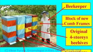 preview picture of video 'New Multi-Colony Beekeeping System in Ukraine!'