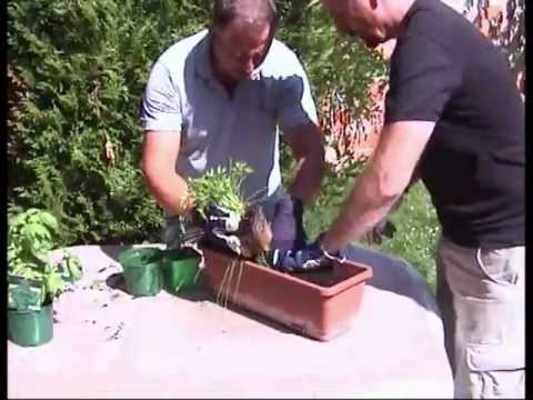 comment remplir jardiniere