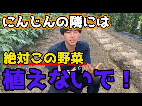 ニンジンに優しい植物