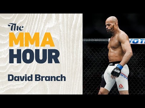 Luke Rockhold vs David Branch full fight