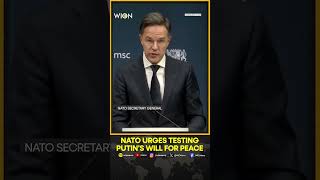 Download lagu Russia-Ukraine War: NATO Calls for ‘Testing’ Putin’s Peace Intentions in Ukraine | WION mp3 Download lagu Russia-Ukraine War: NATO Calls for ‘Testing’ Putin’s Peace Intentions in Ukraine | WION mp3