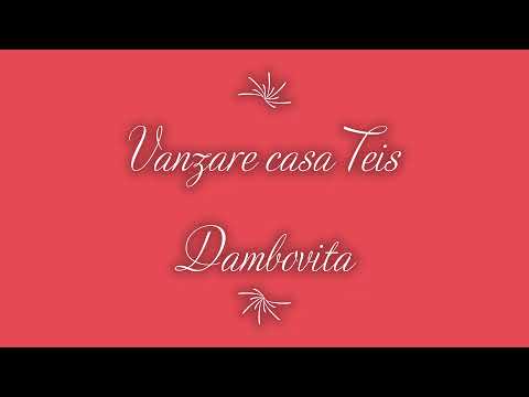 Vanzare proprietate, Teis Dambovita